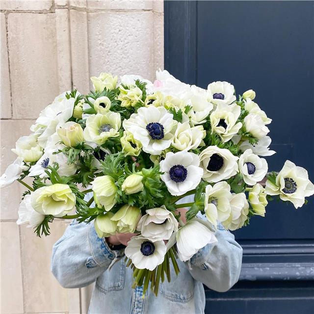 Commande spéciale aujourd’hui.La délicatesse d’un bouquet d’anémones blanches se passe de commentaires…Bonne journée😊#bouquet #anémone #bouquetdefleursblanches #fleursblanches #fleuriste #fleuristebiarritz #livraisonfleursbiarritz