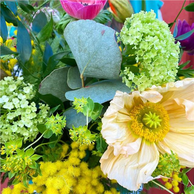 Anémones, pavots, renoncules, mimosa, un mix lumineux de fleurs de saison que l’on affectionne tout particulièrement.Dites nous ce que vous pensez de ce bouquet réalisé par Natacha, notre stagiaire en C.A.P, ça lui donnera de la confiance pour l’examen au mois de juin.#bouquetdefleurs #fleursdesaison #fleuristebiarritz #artisanfleuriste #fleuriste #livraisondefleurs #livraisondefleursbiarritz #livraisondefleursbayonne #livraisondefleursanglet #mimosa #anemone #renoncule #pavots #berryfleursdebiarritz