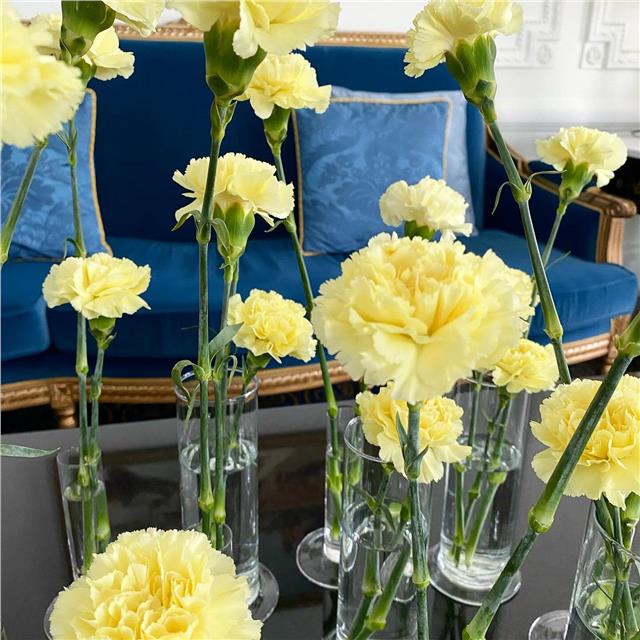 Quelques soliflores et de jolis œillets jaunes pâles pour fleurir cette table basse .@hairrituelbysisley à @hoteldupalais dans le cadre du festival @festivalnouvellesvagues de Biarritz.#fleurs #decorationflorale #fleuristebiarritz #événement #hoteldupalais #biarritz #sisley #berrylesfleursbiarrotes