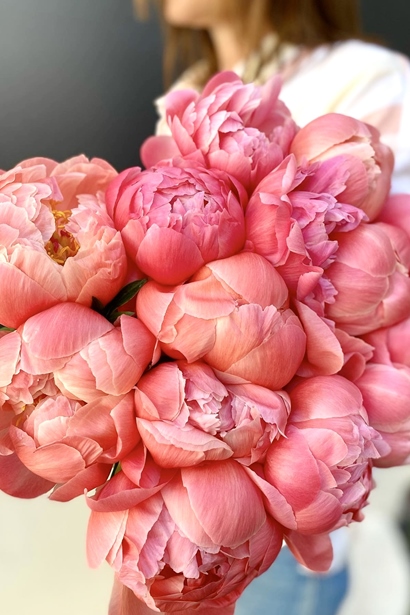 Coral Charm