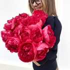 PIVOINE