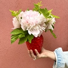 Pivoine et vase fraise